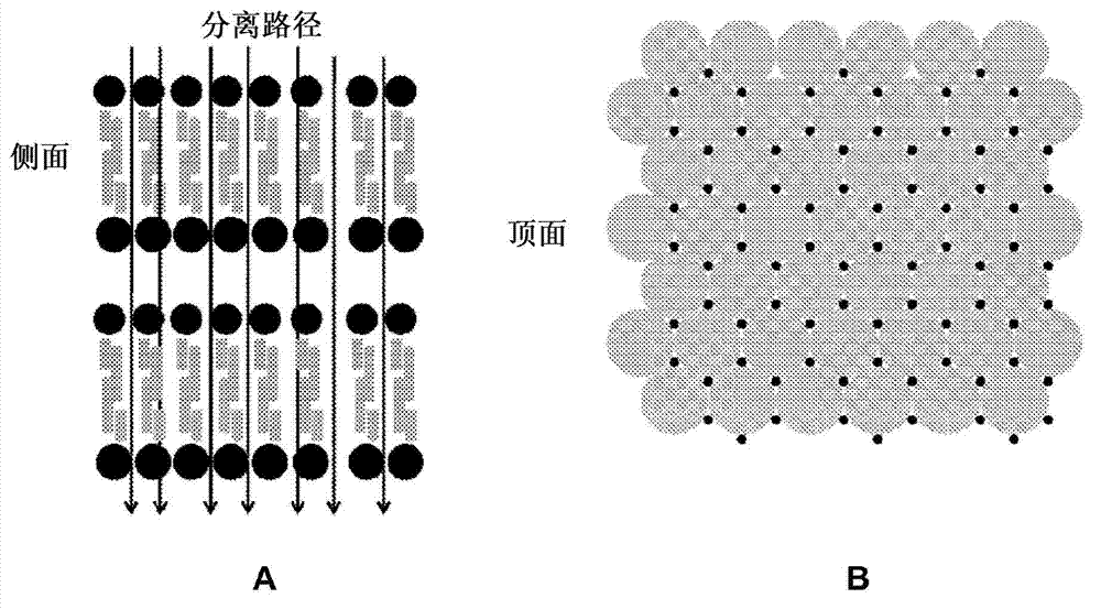 Self-assembled surfactant structures