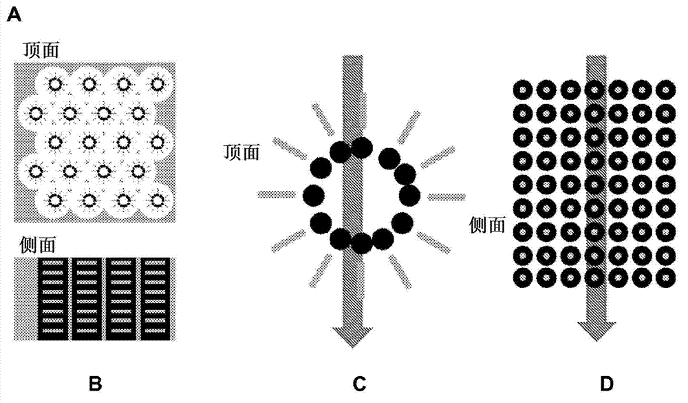 Self-assembled surfactant structures