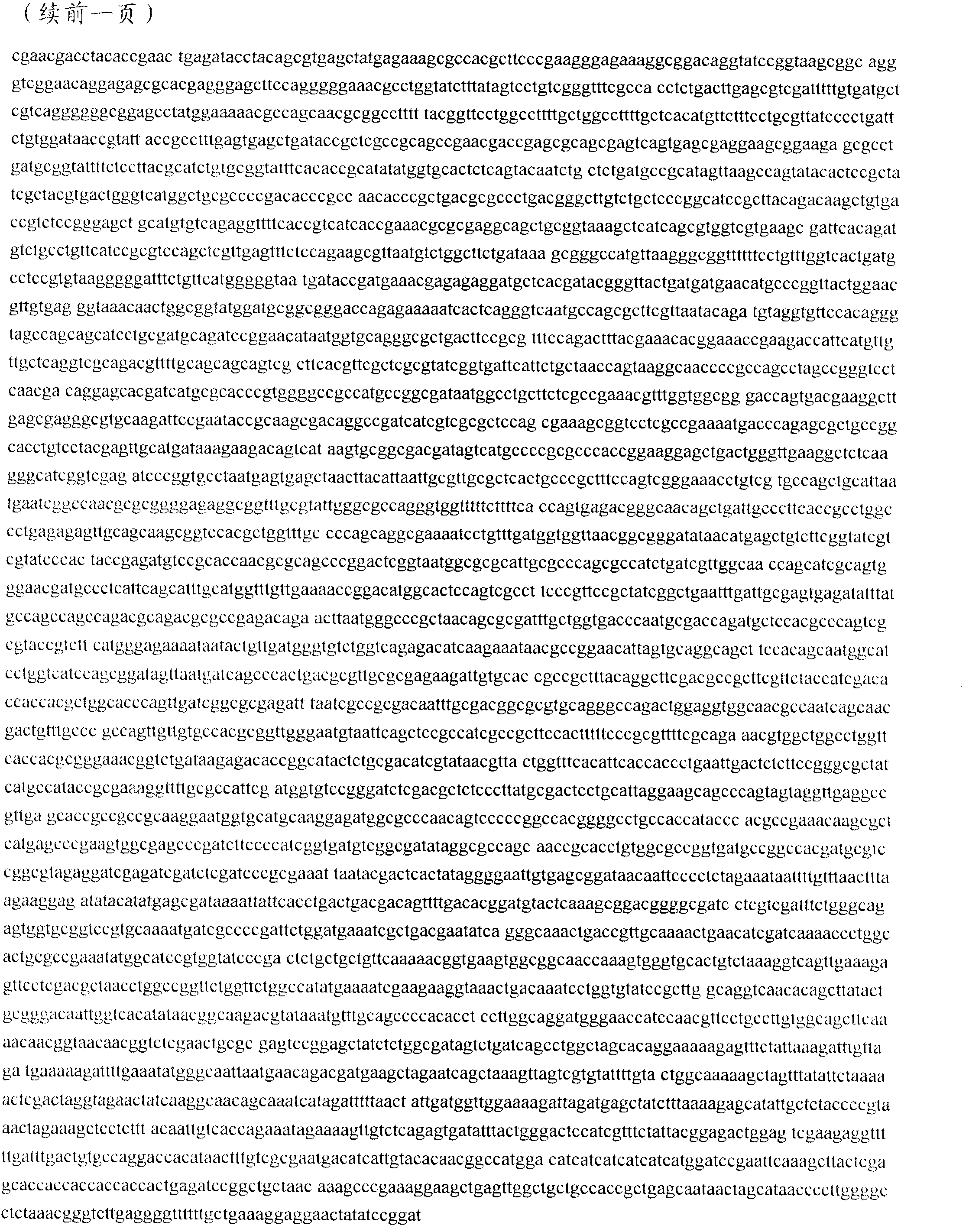 Prokaryotic expression vector and application thereof