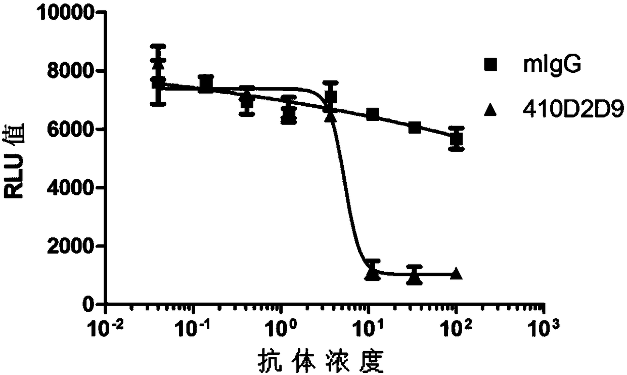 Anti-human vascular endothelial growth factor antibody, preparation method and application thereof