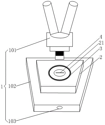 Vitrification freezing observing device and application thereof