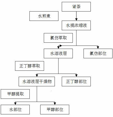 Orthosiphon n-butanol fraction medicine for treating chronic nephritis and preparation method thereof