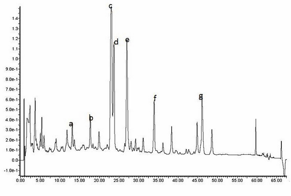 Orthosiphon n-butanol fraction medicine for treating chronic nephritis and preparation method thereof