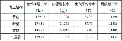 Large-scale breeding method for tamarixia radiate