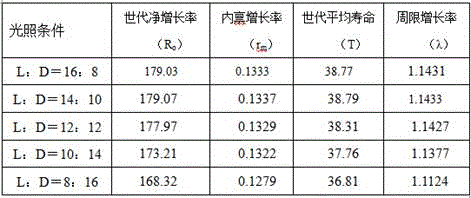 Large-scale breeding method for tamarixia radiate