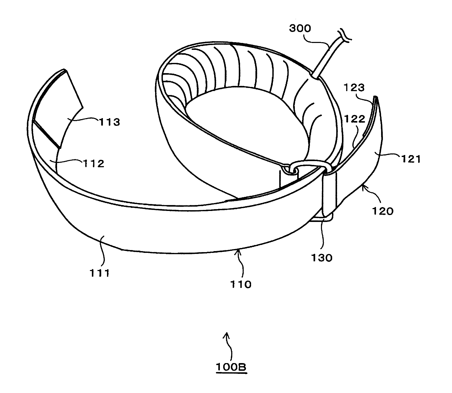 Muscle Training Apparatus and Belt for Muscle Training