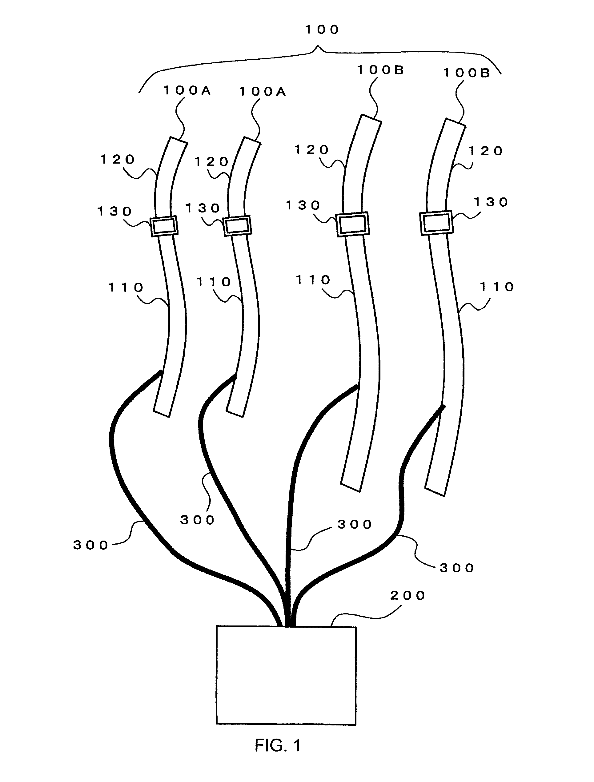 Muscle Training Apparatus and Belt for Muscle Training