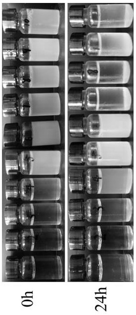 Preparation method of epsilon-polylysine-Arabic gum nanoparticles