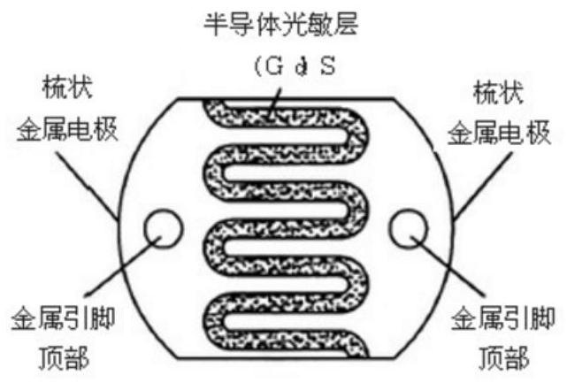 Water body nitrogen and phosphorus element content analysis based on photoconductive resistance photoelectric characteristics