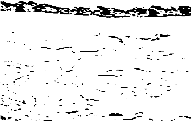 Construction method of medical human amniotic membrane tissue reserve bank