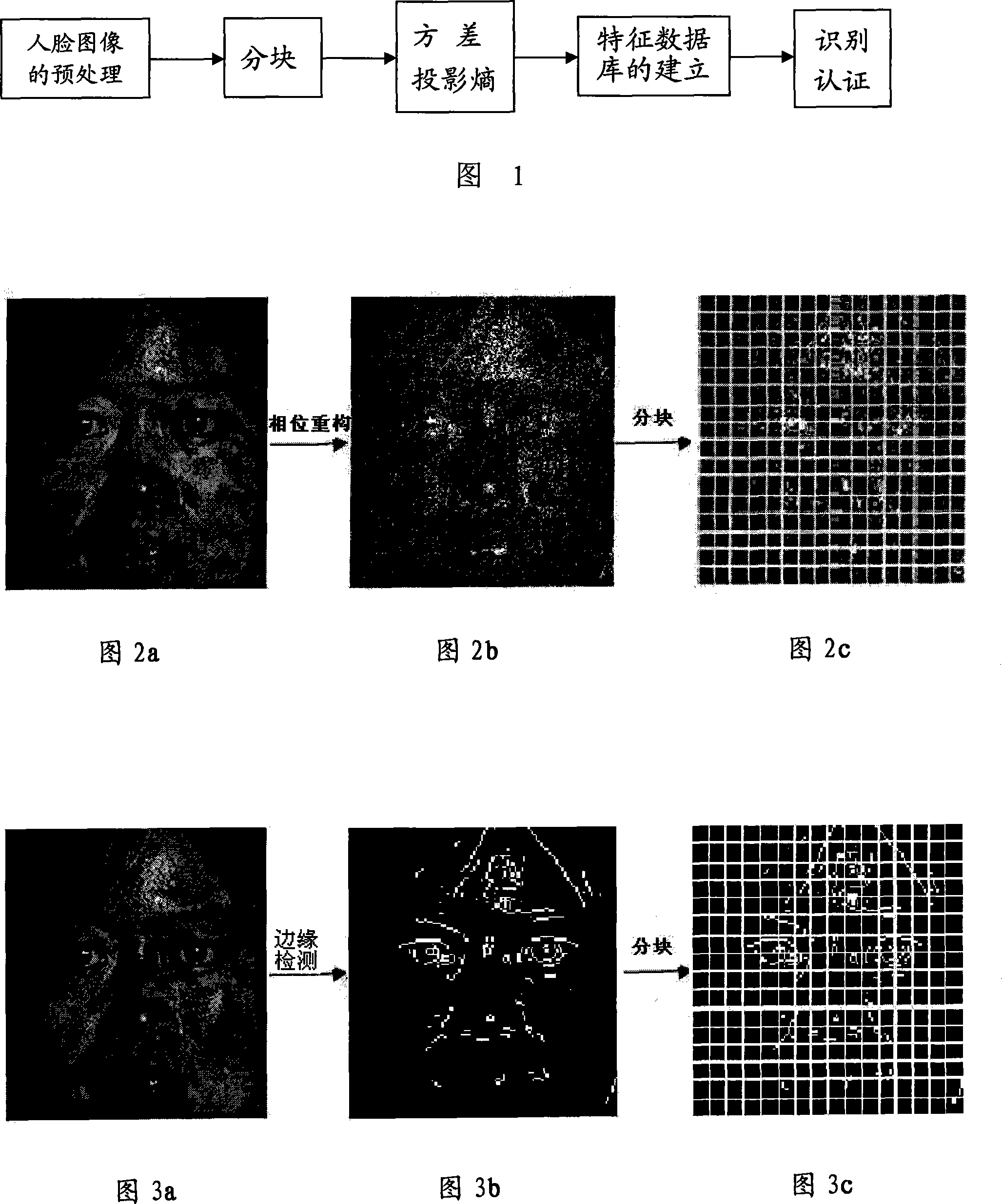 A face feature extraction method with illumination robustness