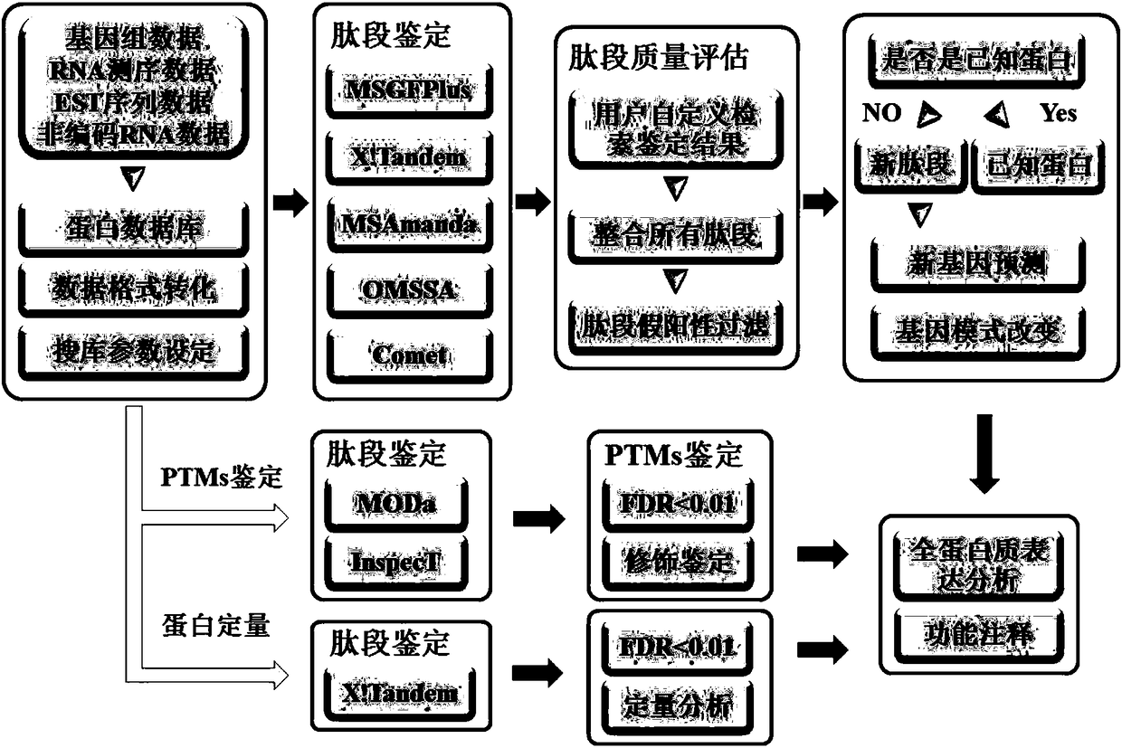 A method for rapid and automated analysis of prokaryotic proteomics data