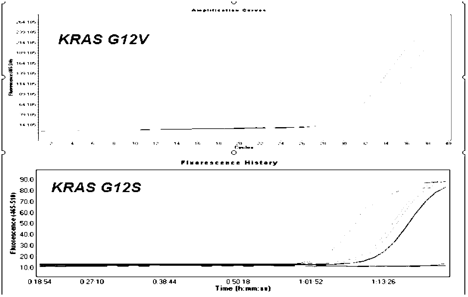 Method for performing in-vitro accurate test on KRAS gene mutation