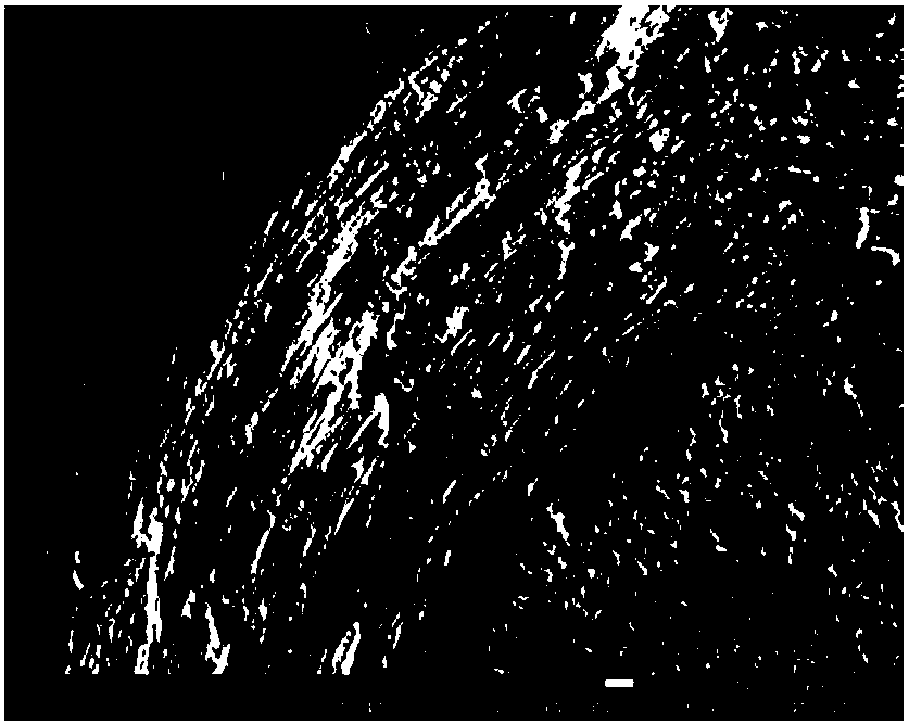 Self-lubricating hot-forging die based on Sialon ceramic and manufacturing method thereof