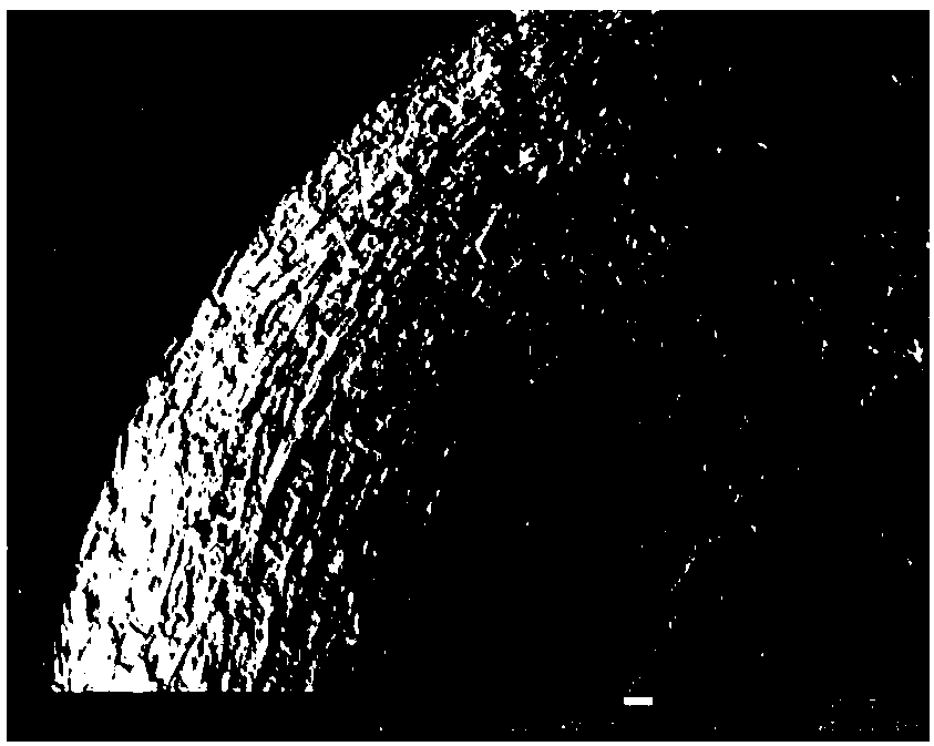 Self-lubricating hot-forging die based on Sialon ceramic and manufacturing method thereof