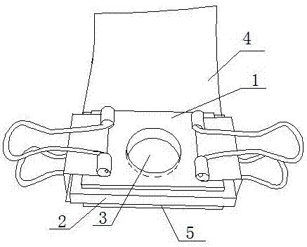 Method for researching predation of predatory mites on chive maggot