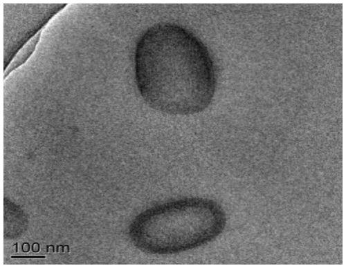 Preparation method of polytetrafluoroethylene/polyacrylate core-shell emulsion for pressure-sensitive adhesive