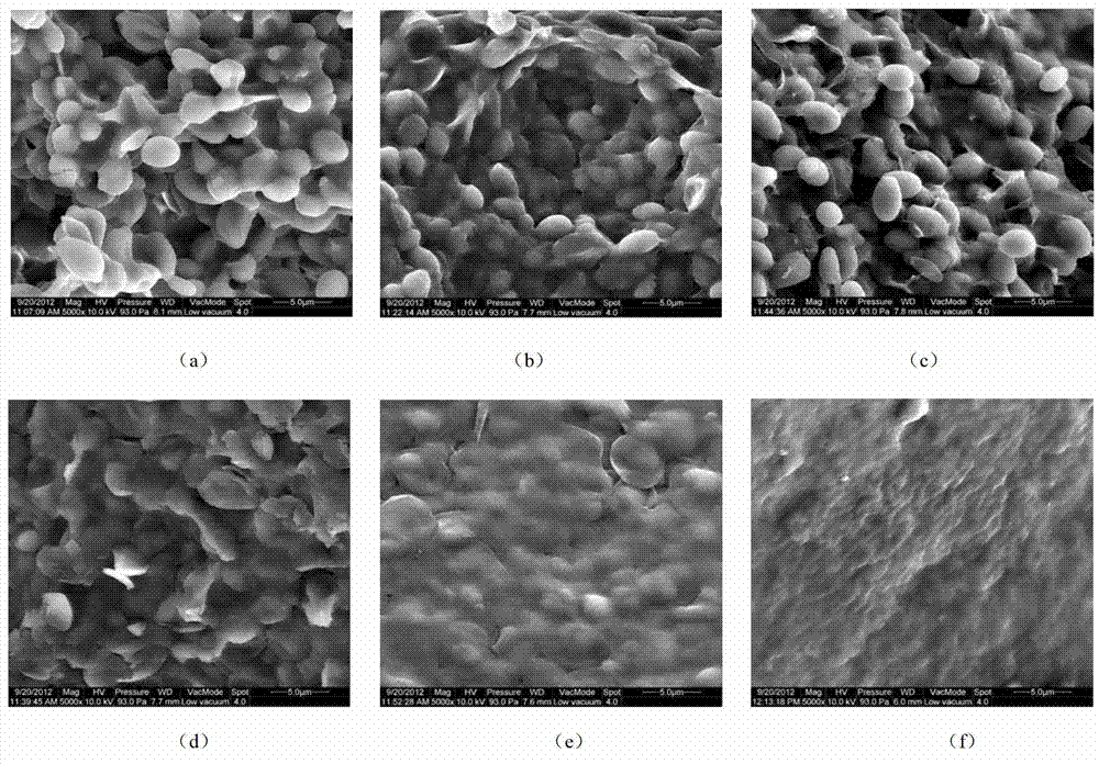 Preparation method of yeast beta-D-glucan