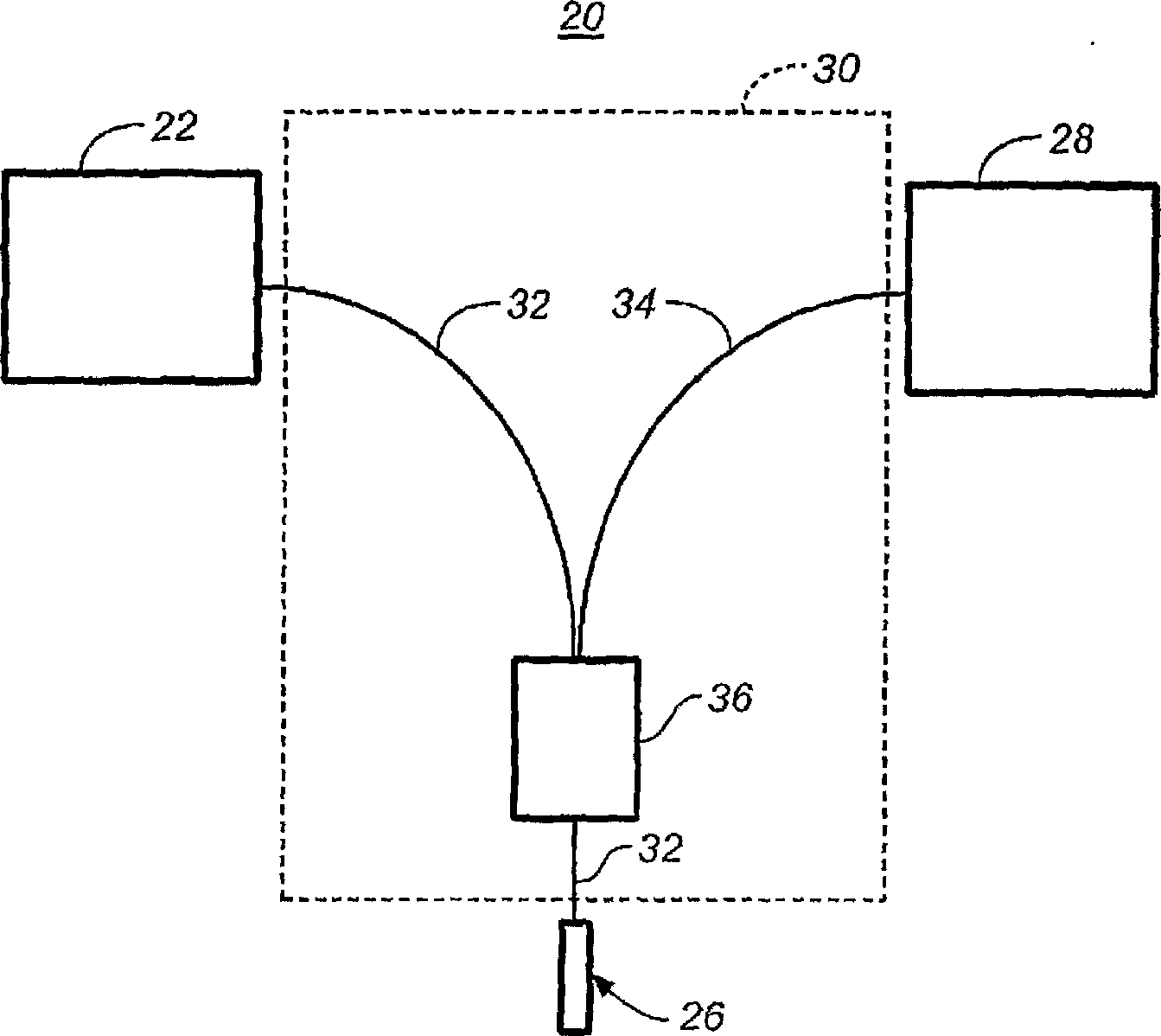 Fiber-optic assay apparatus based on phase-shift interferometry