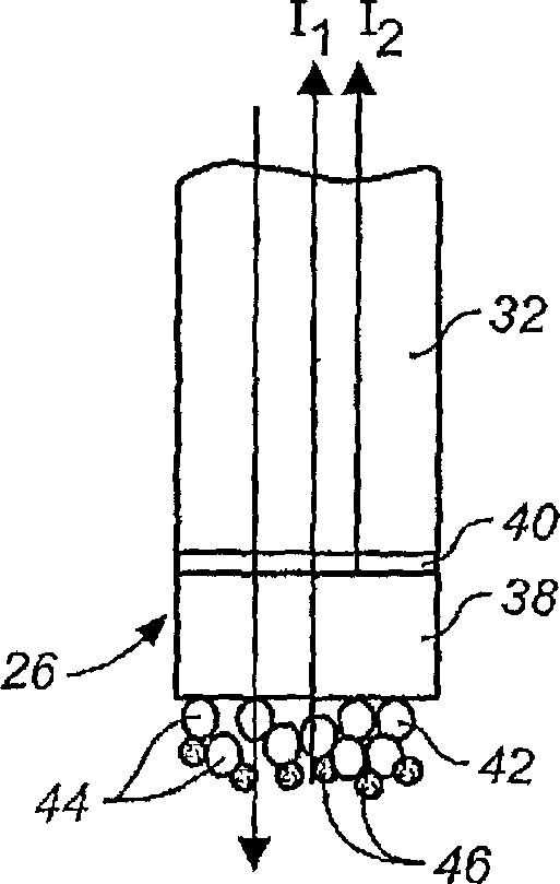 Fiber-optic assay apparatus based on phase-shift interferometry