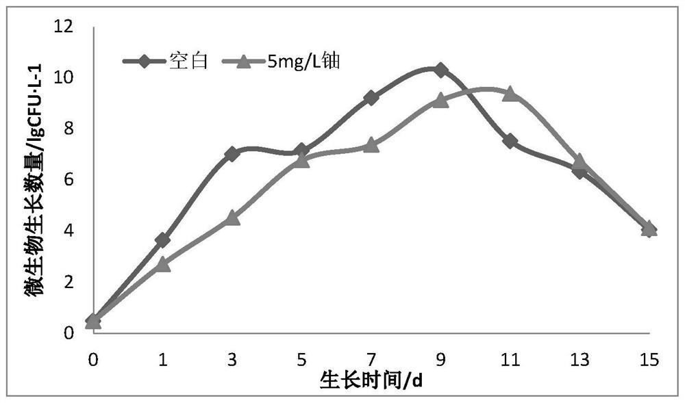 Enterobacter cloacae and application thereof