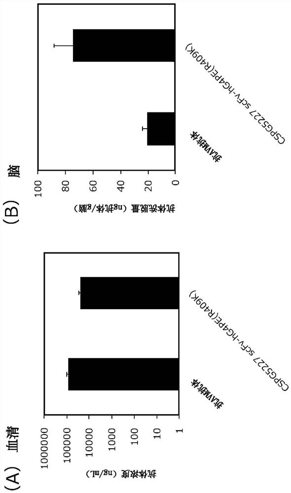 Antibody binding to chondroitin sulfate proteoglycan-5