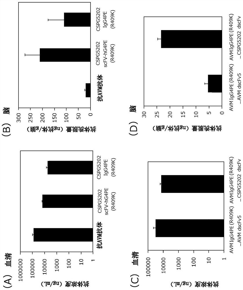 Antibody binding to chondroitin sulfate proteoglycan-5