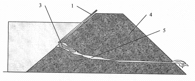 Dam piping rescue high polymer closed grouting method