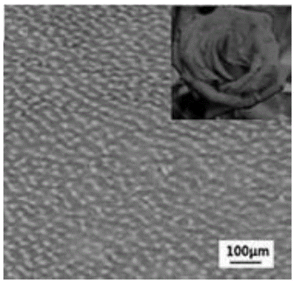 A preparation method of petal-like superhydrophobic high-adhesion surface