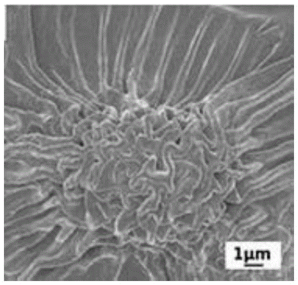 A preparation method of petal-like superhydrophobic high-adhesion surface