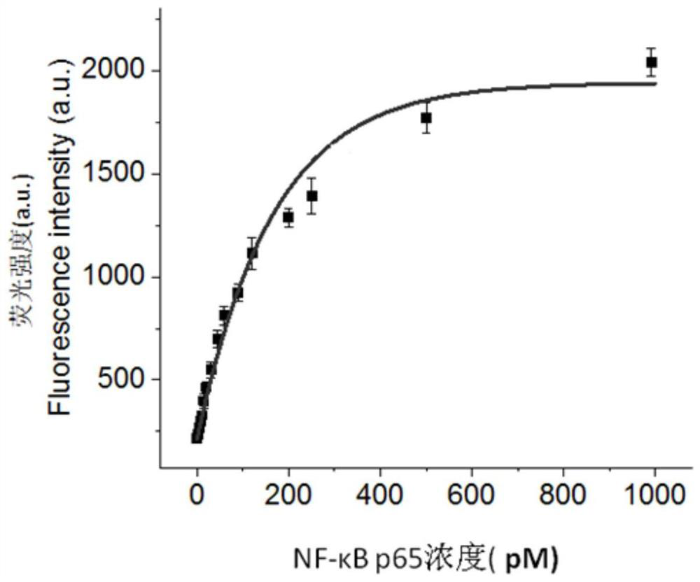 Kit for detecting nuclear factor-kappa B and application of kit