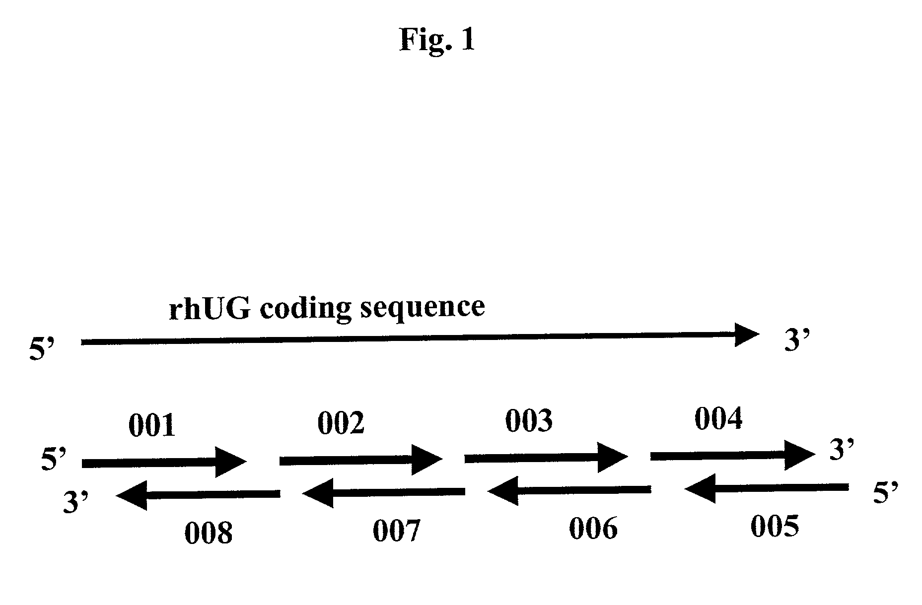 Methods for the production of purified recombinant human uteroglobin for the treatment of inflammatory and fibrotic conditions