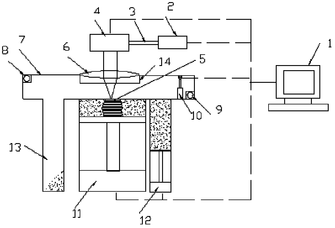 A device for preparing nonlinear dendritic wicks by selective laser melting