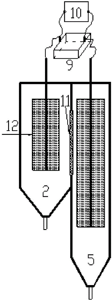 Denitrifying phosphorus removal electricity generation device