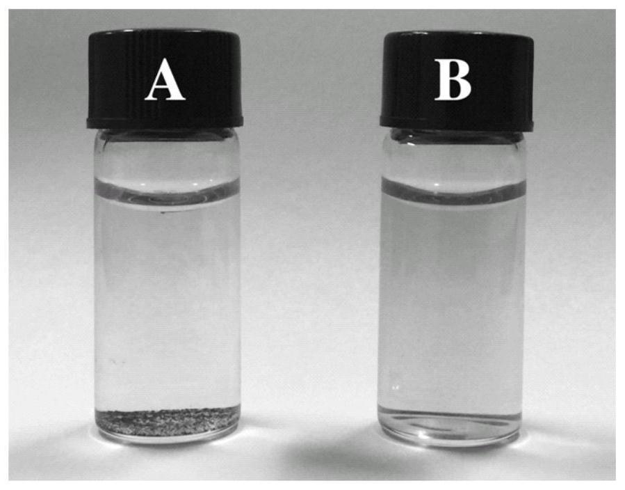 Mercury ion colorimetric detection method based on osmium nanoparticle oxidase activity