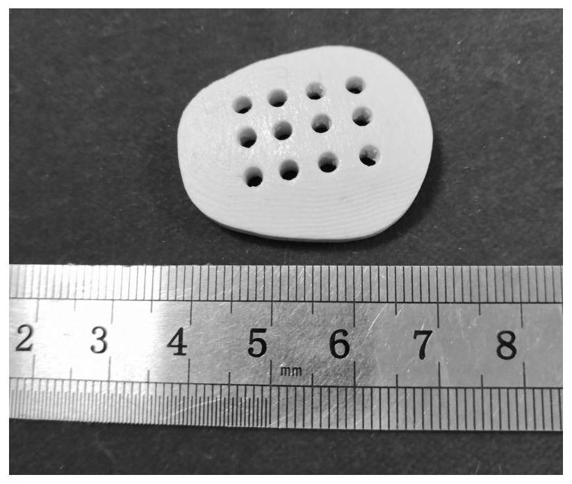 A kind of light-cured calcium silicate/β-tricalcium phosphate ceramic paste and preparation method of porous scaffold