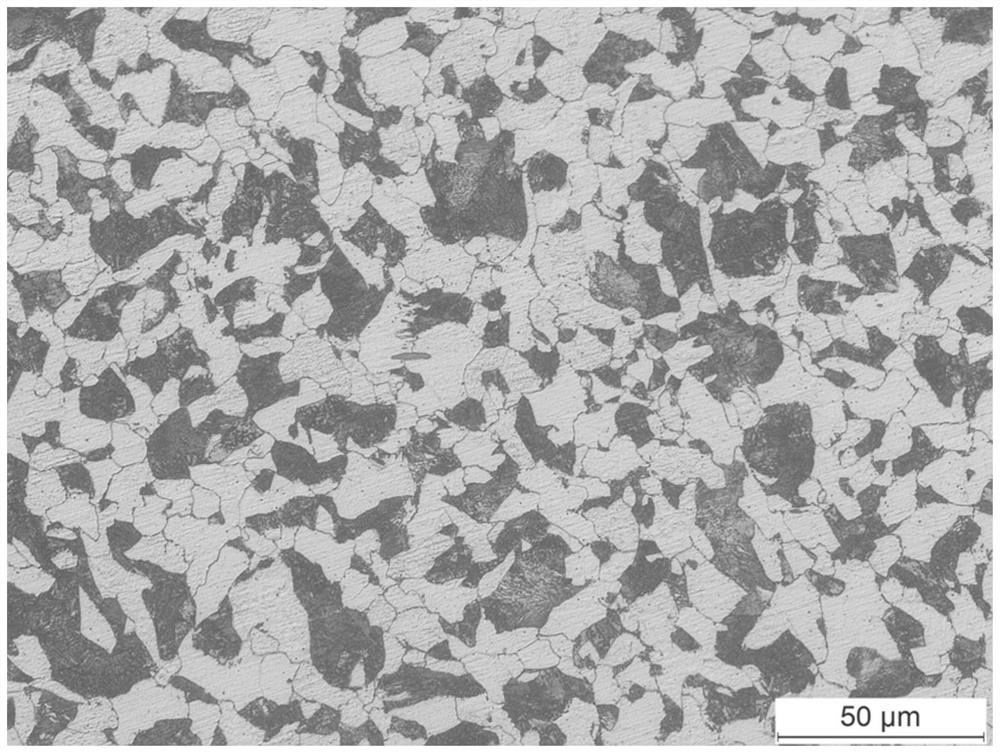 Display method for precipitation condition of ferrite along original austenite