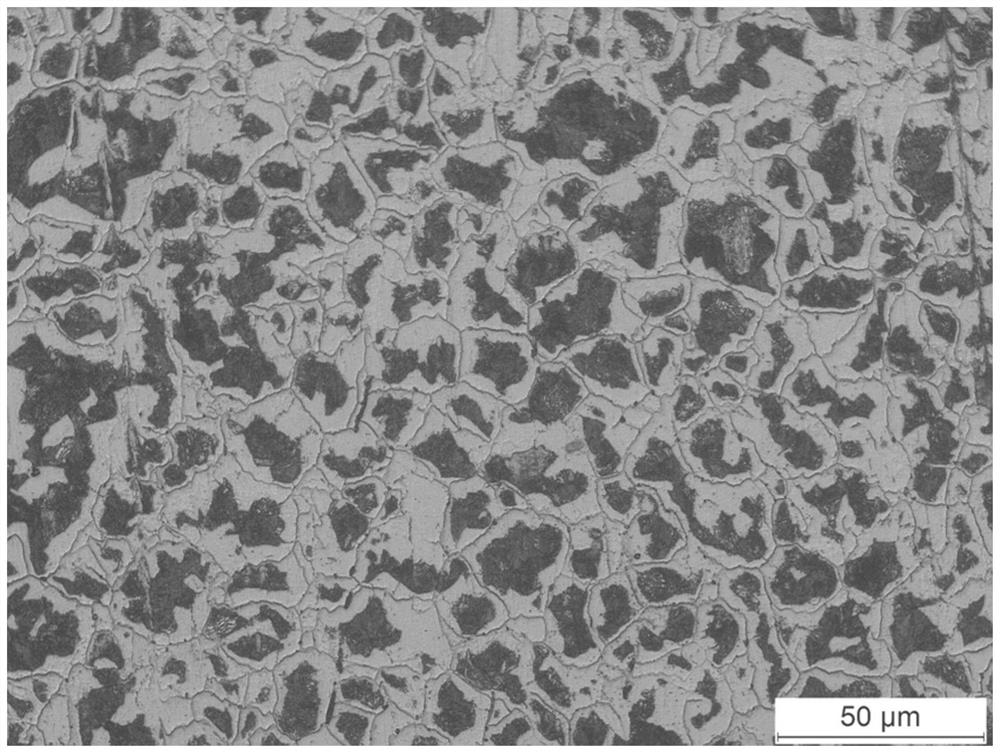 Display method for precipitation condition of ferrite along original austenite