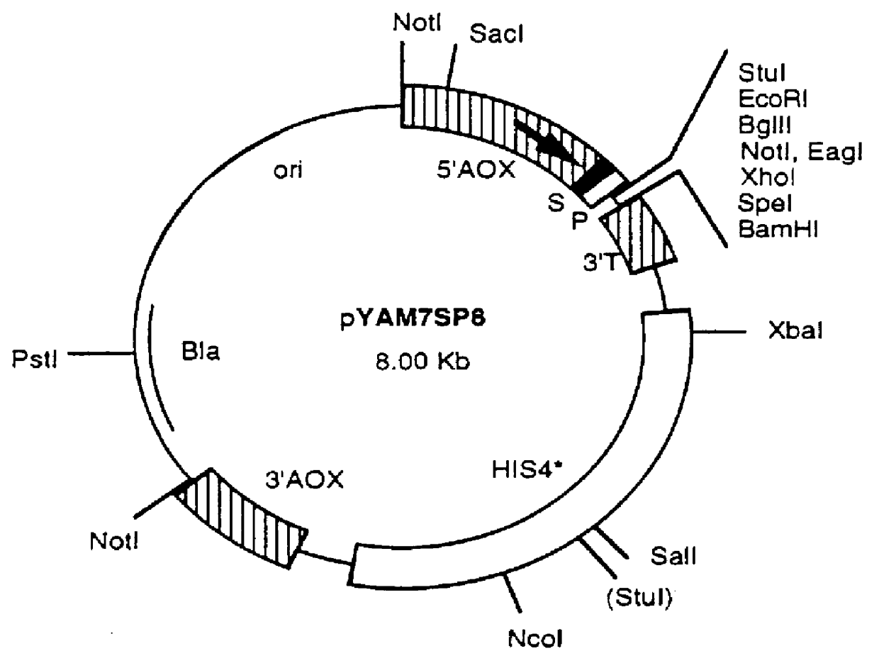 Nematode-extracted serine protease inhibitors and anticoagulant proteins