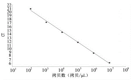 Construction of pd-l2 recombinant plasmid in porcine peripheral blood mononuclear lymphocytes, real-time detection method of gene abundance and its application