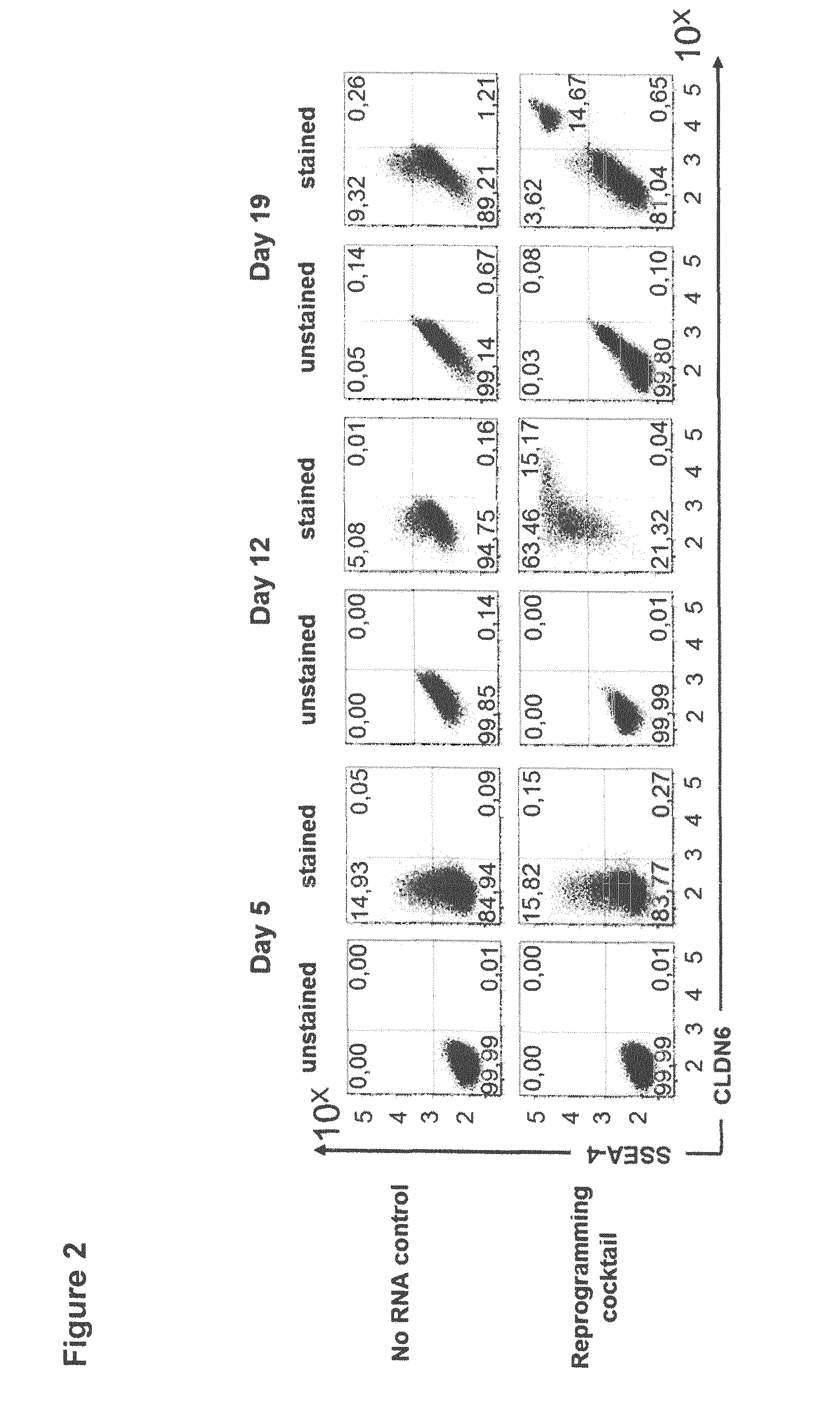 Diagnosis and therapy of cancer involving cancer stem cells