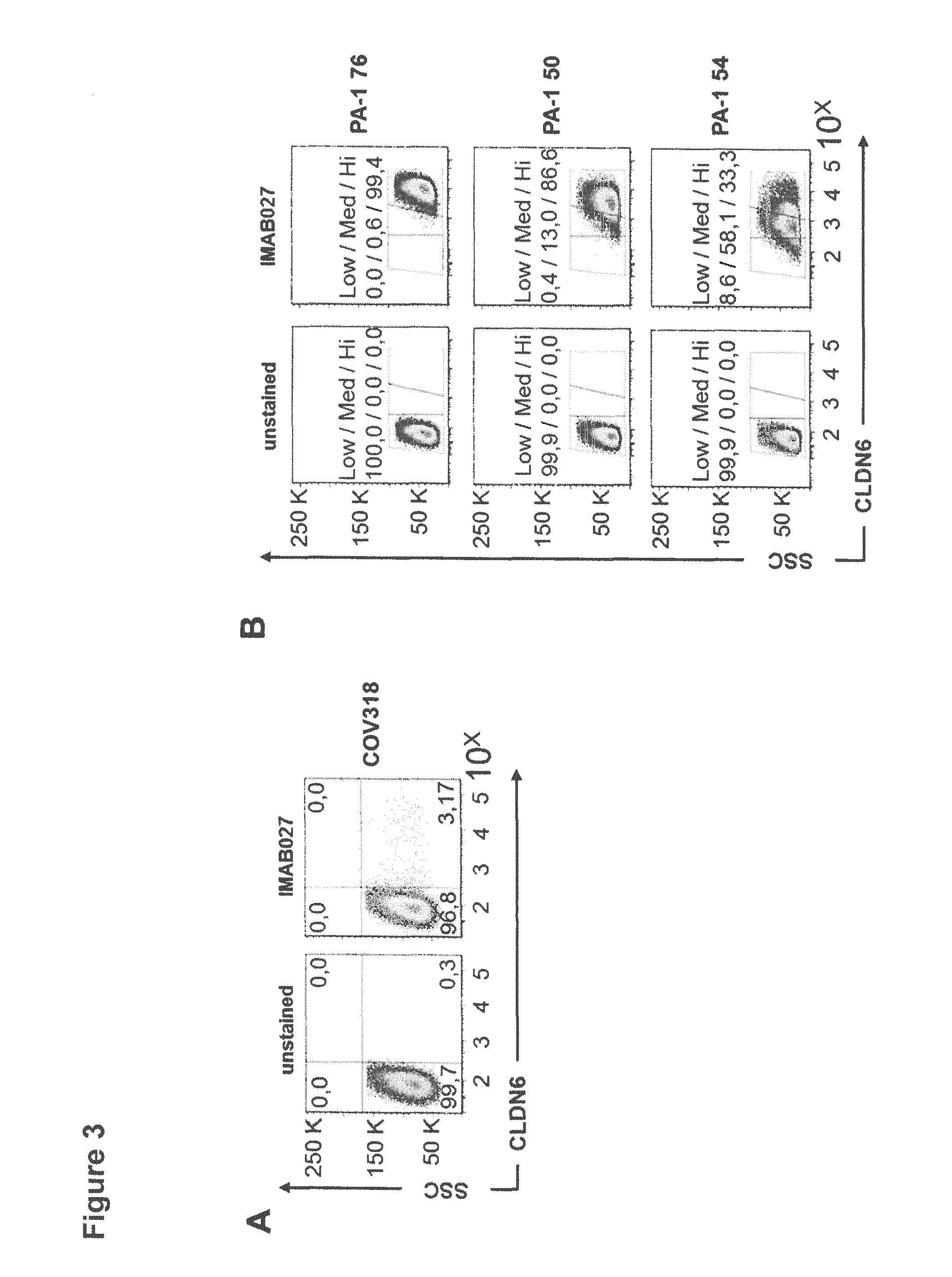 Diagnosis and therapy of cancer involving cancer stem cells