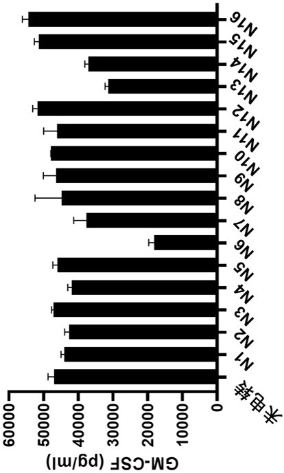 sgRNA and method for constructing gm-csf(-) cells using the same