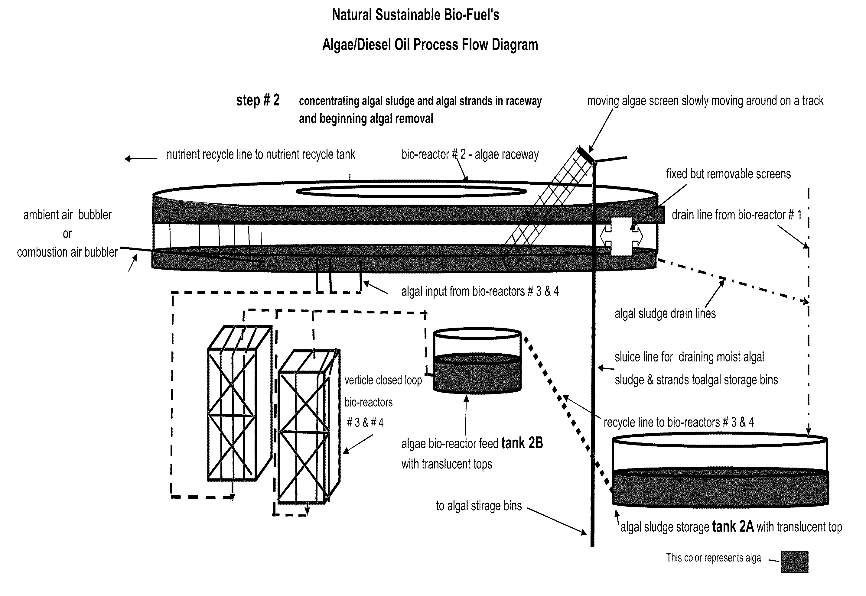 Maximizing utilization of municipal sewage treatment effluents to produce a biofuel, fertilizer and/or animal feed for environmentally sustainable minded communities