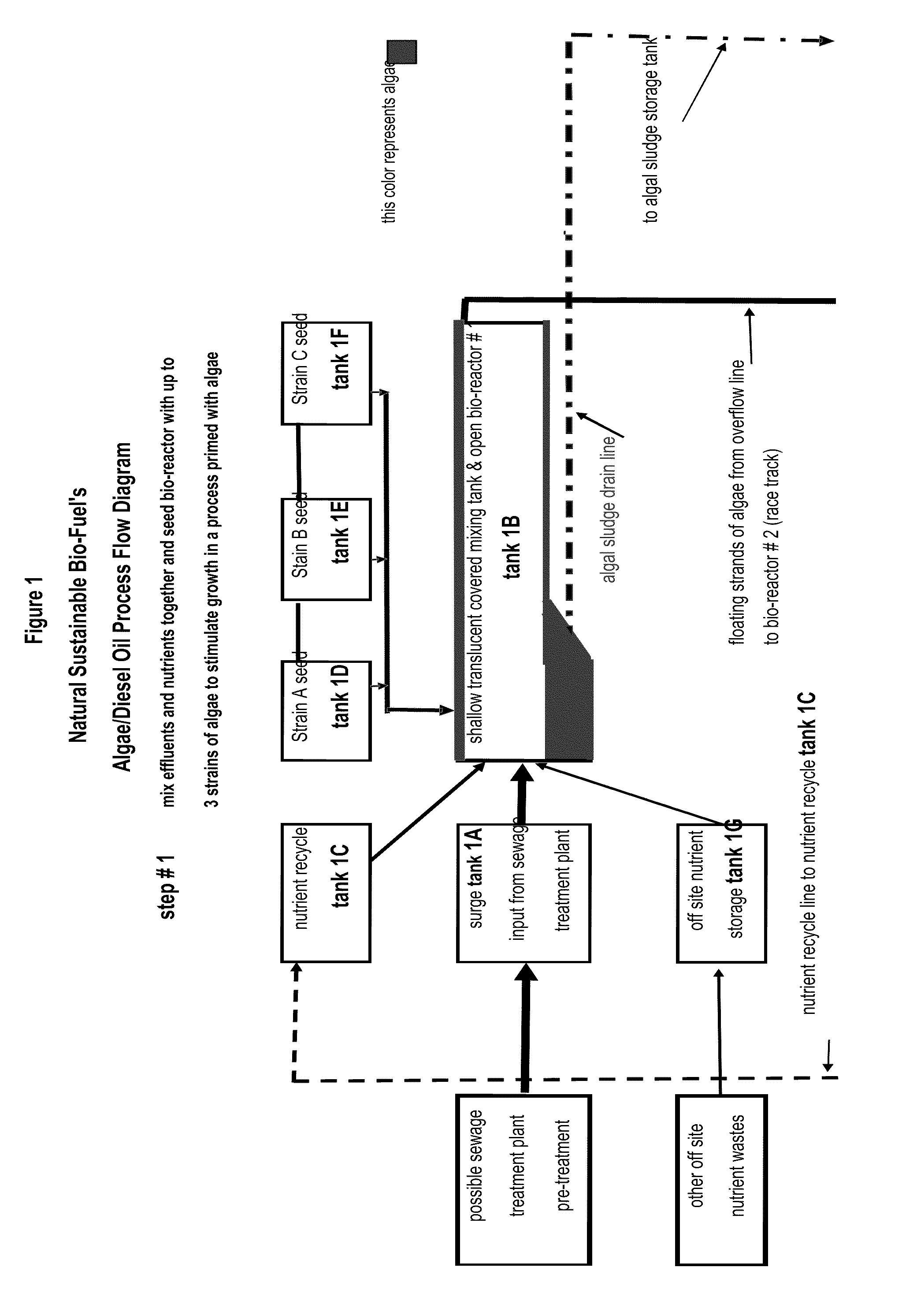 Maximizing utilization of municipal sewage treatment effluents to produce a biofuel, fertilizer and/or animal feed for environmentally sustainable minded communities