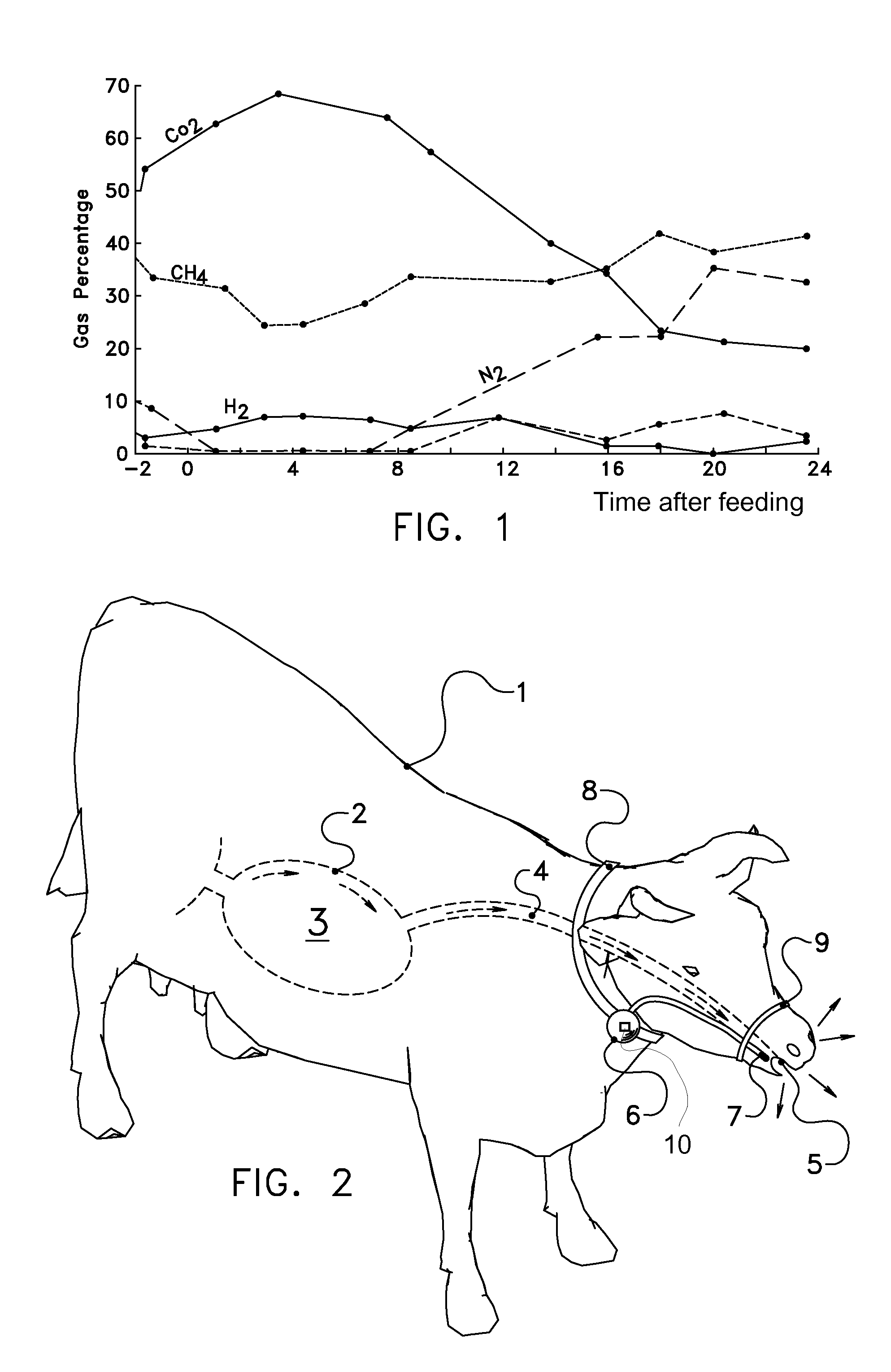 Method and device for determining greenhouse gas, in particular methane, emitted by a ruminant, in particular a dairy animal