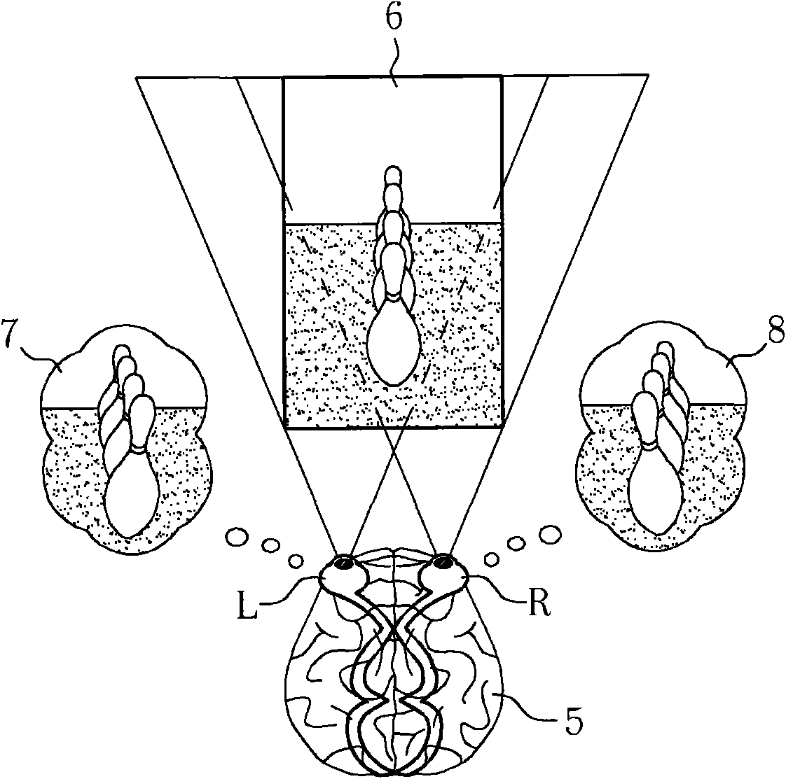 Multiple visual field stereo display