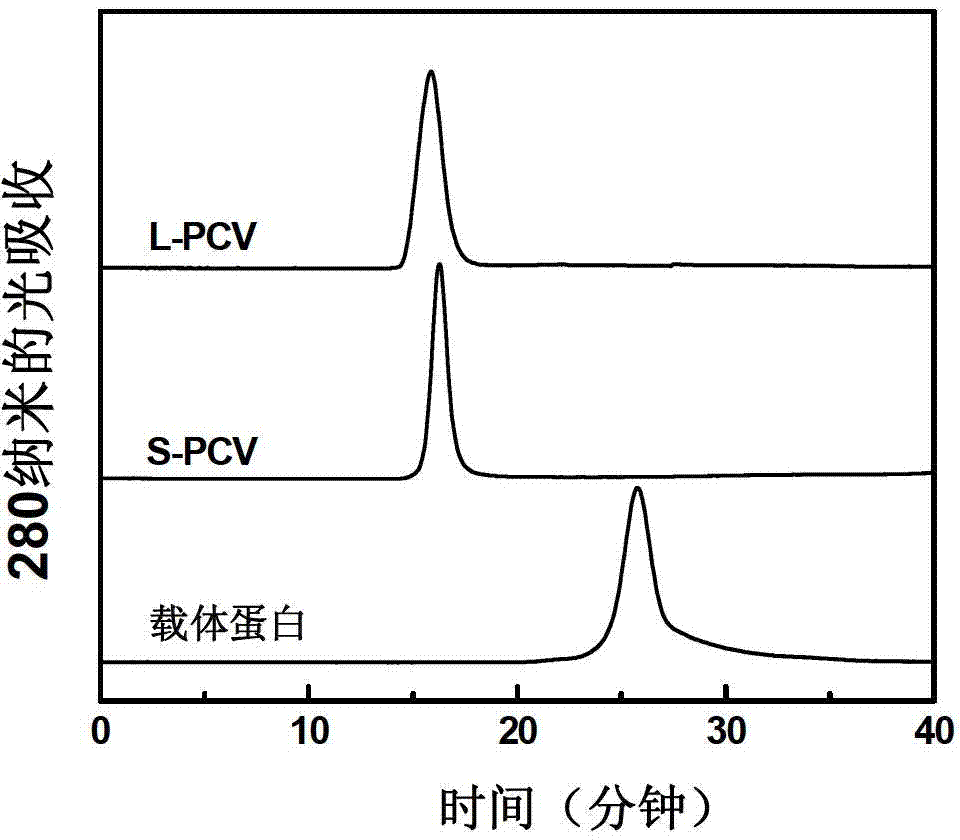 Click-chemistry-based pneumococcal polysaccharide conjugate vaccine and preparation method thereof