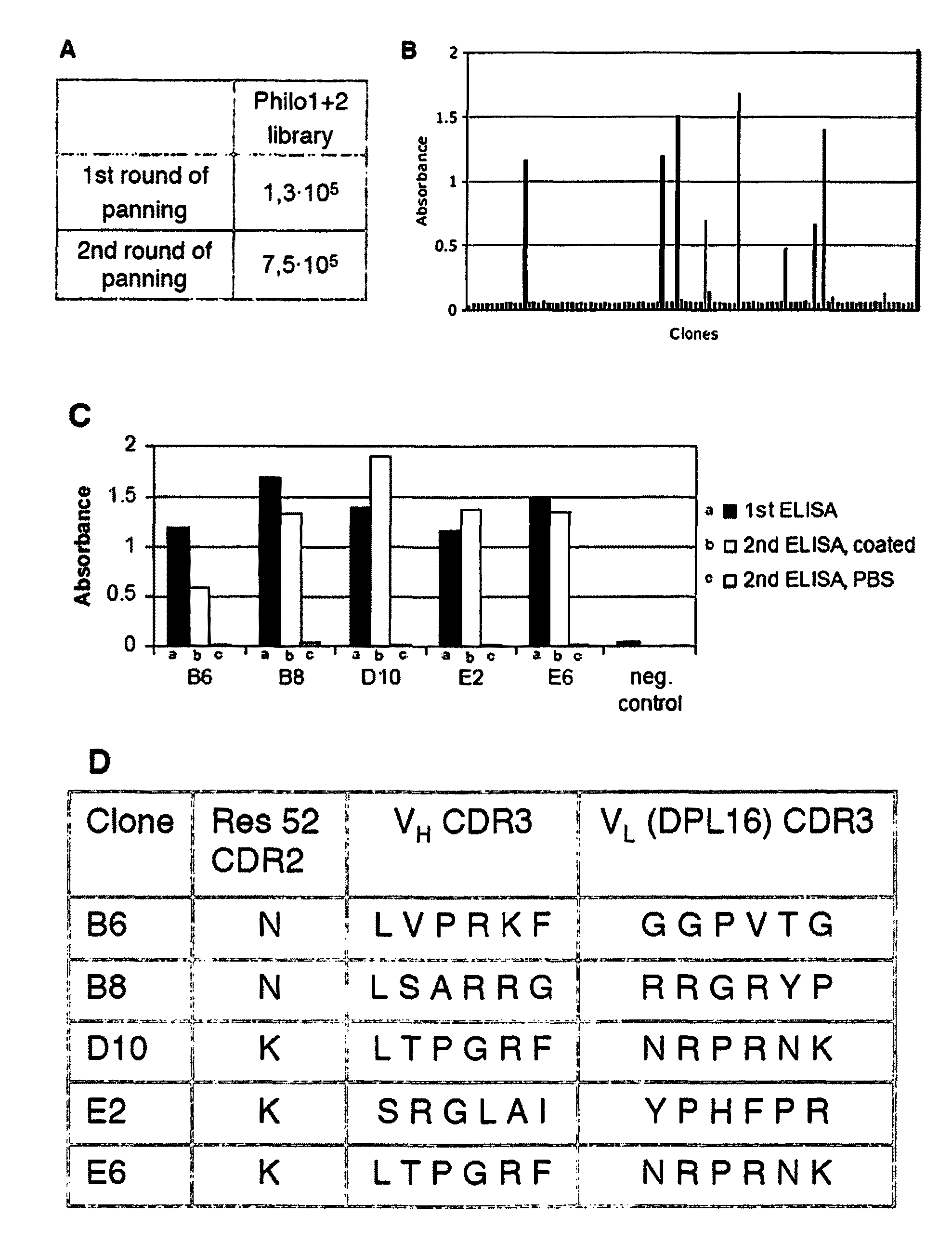 Display library for antibody selection