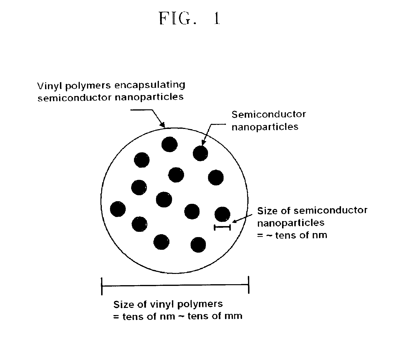 Semiconductor nanoparticle-encapsulating vinyl polymer, vinyl polymer mixture including same, and process of preparing the same